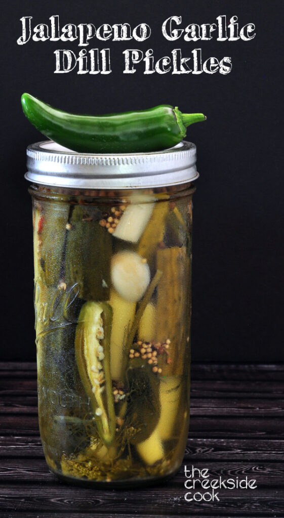 Jalapeno Garlic Dill Pickles The Creekside Cook