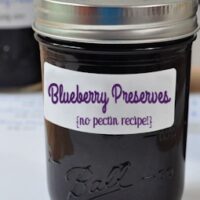 blueberry preserves no pectin recipe