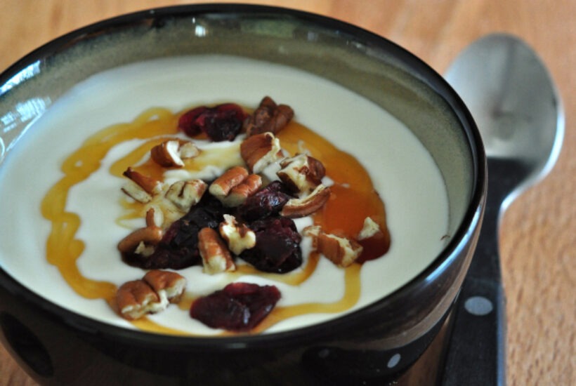 Find Homemade Greek Yogurt on The Creekside Cook