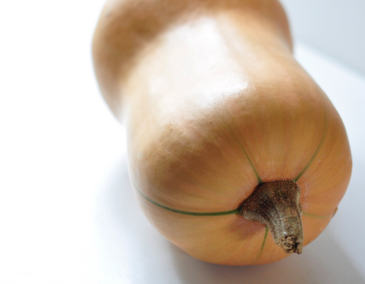 Butternut Squash on The Creekside Cook