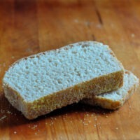 English Muffin Bread on The Creekside Cook