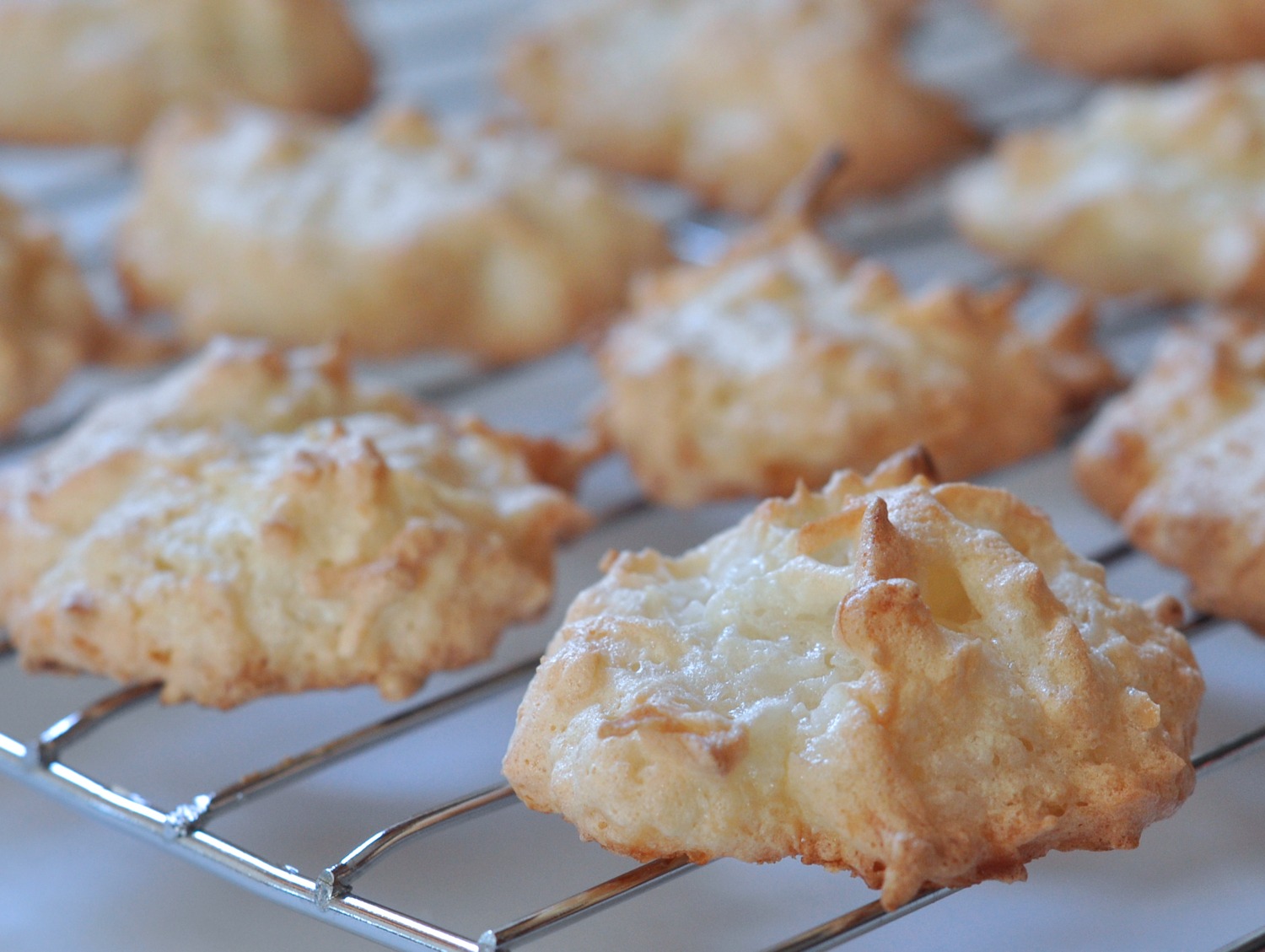 Coconut Macaroons on The Creekside Cook