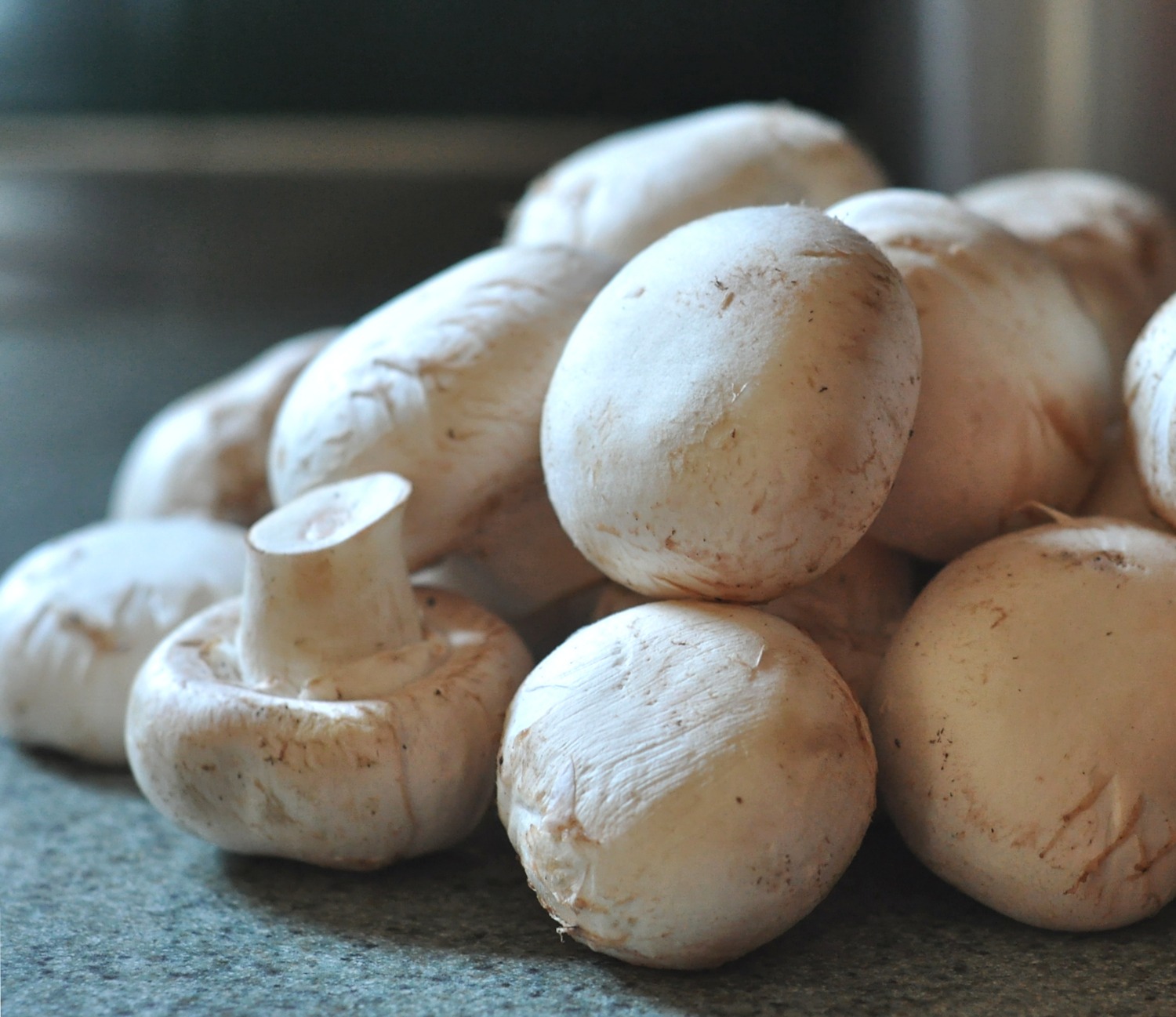 Cheese Stuffed Mushrooms on The Creekside Cook