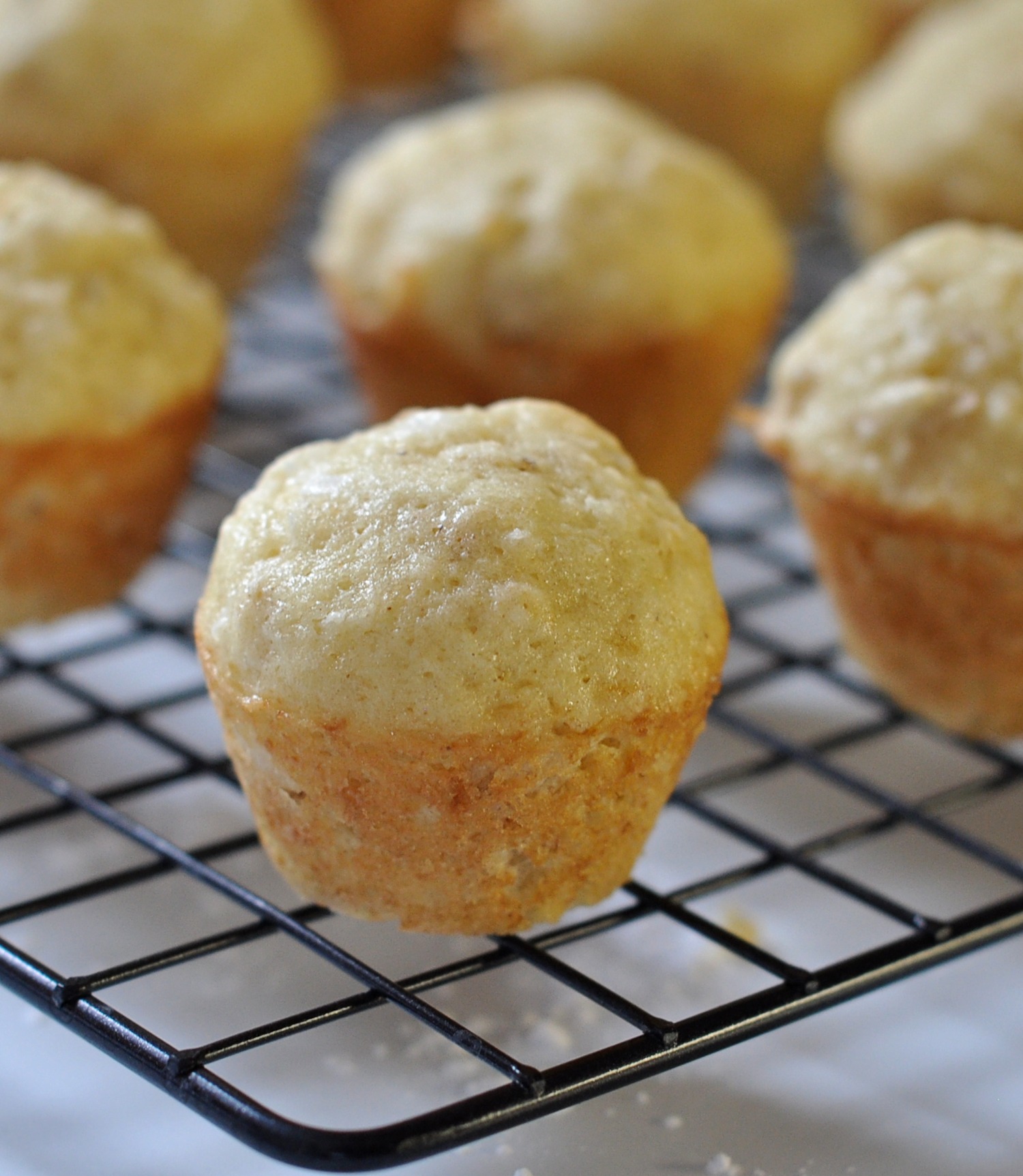 Unglazed Coconut Lime Mini Muffins