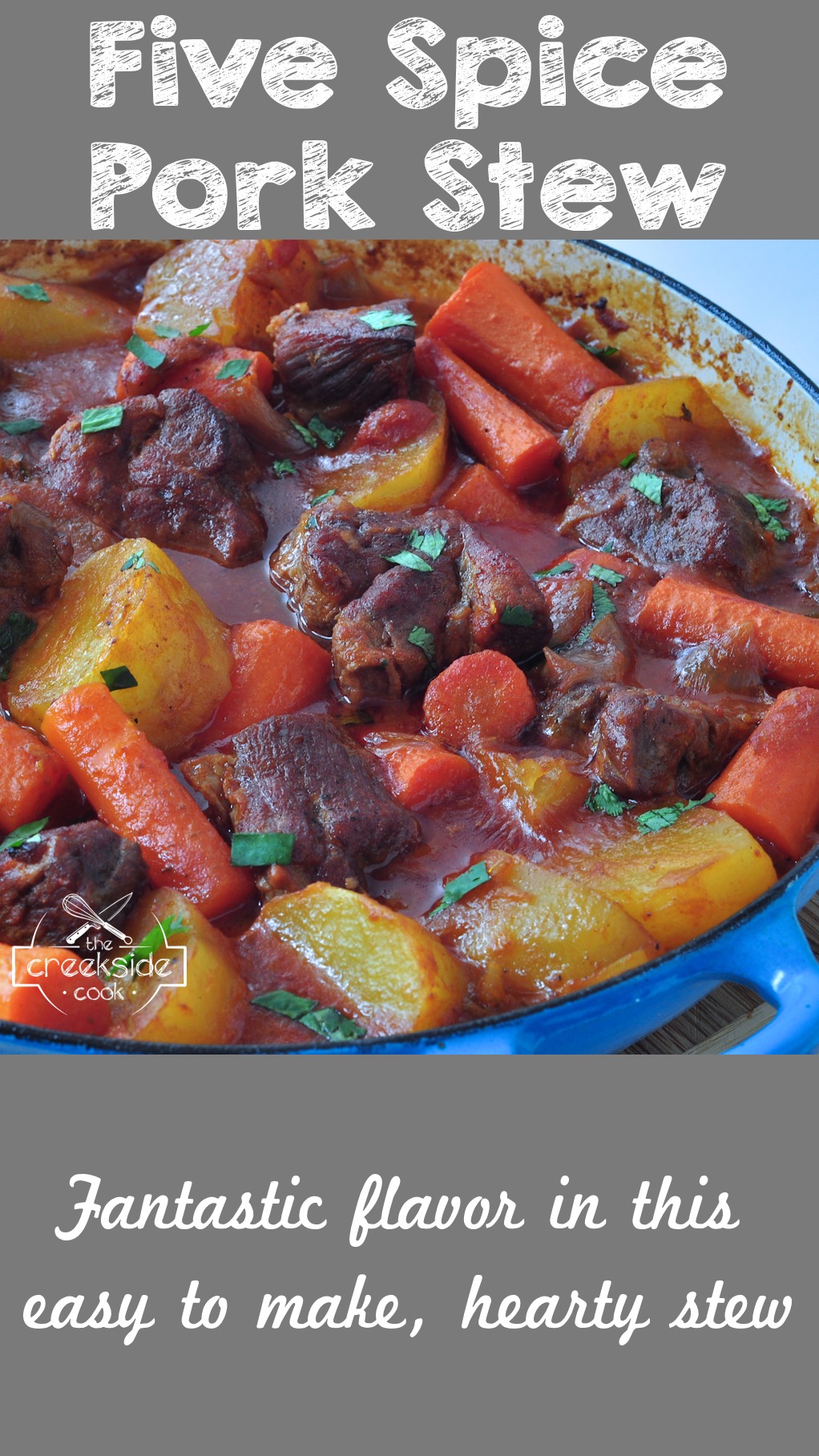 Pinterest Pin for Five Spice Pork Stew on The Creekside Cook