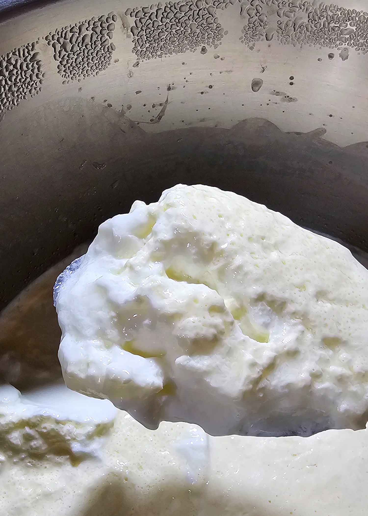 cultured yogurt