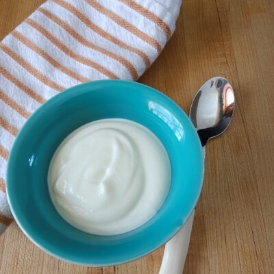 bowl of homemade yogurt
