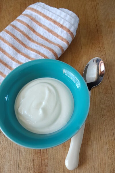 bowl of homemade yogurt