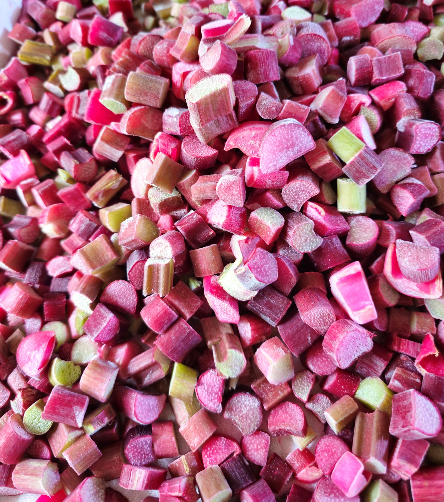 tray of frozen rhubarb
