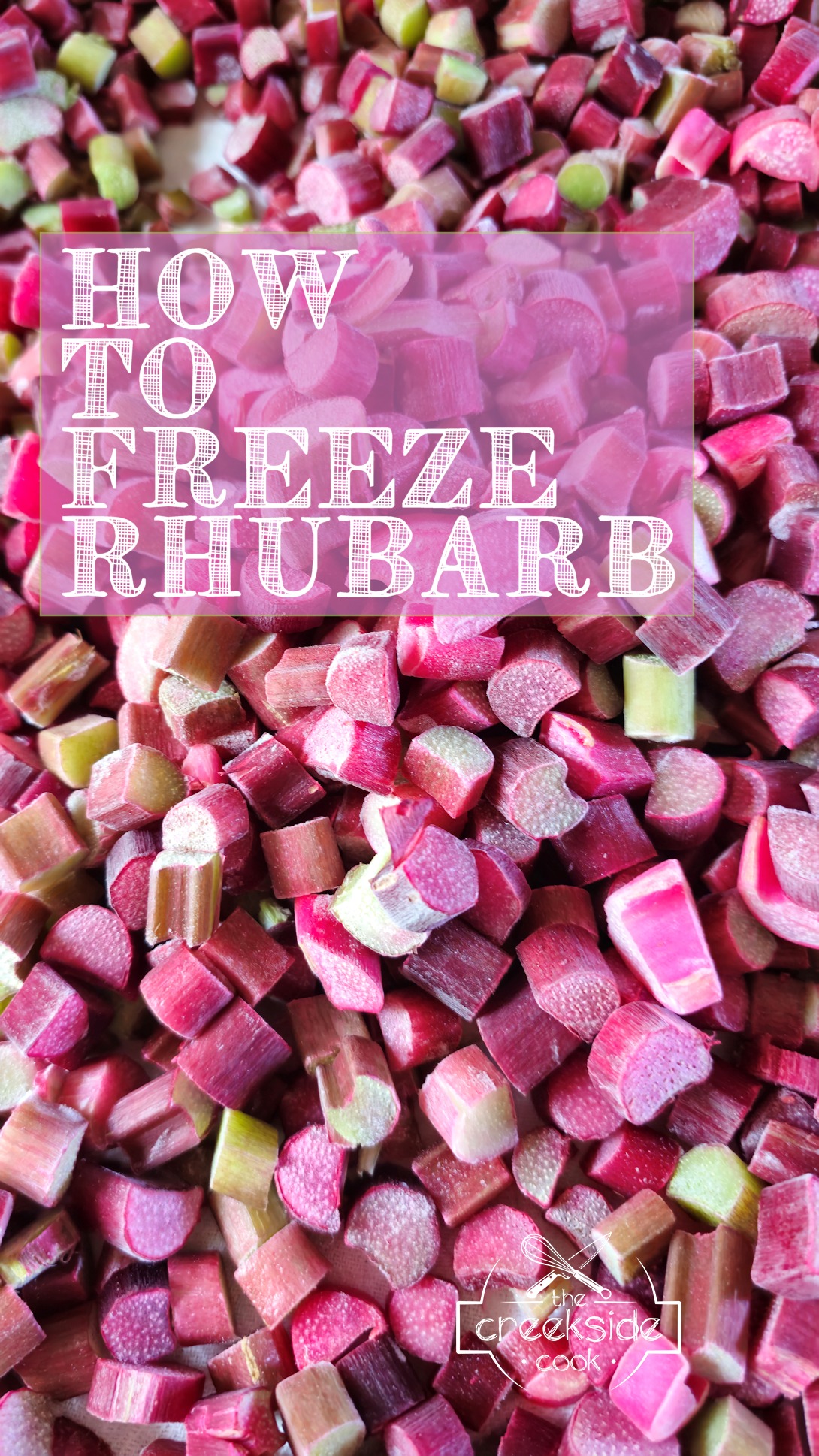 Pinterest pin for how to freeze rhubarb on the creekside cook