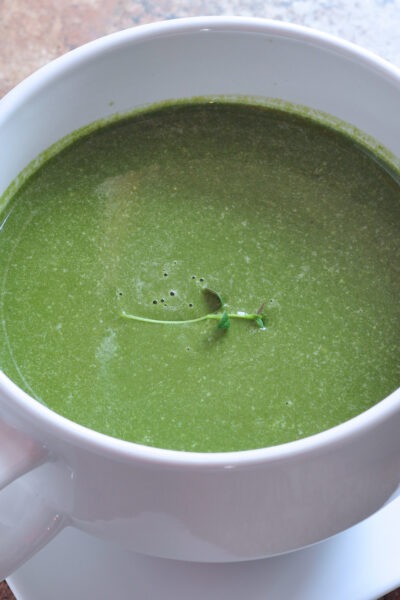 recipe for Creamy Spinach Feta Soup