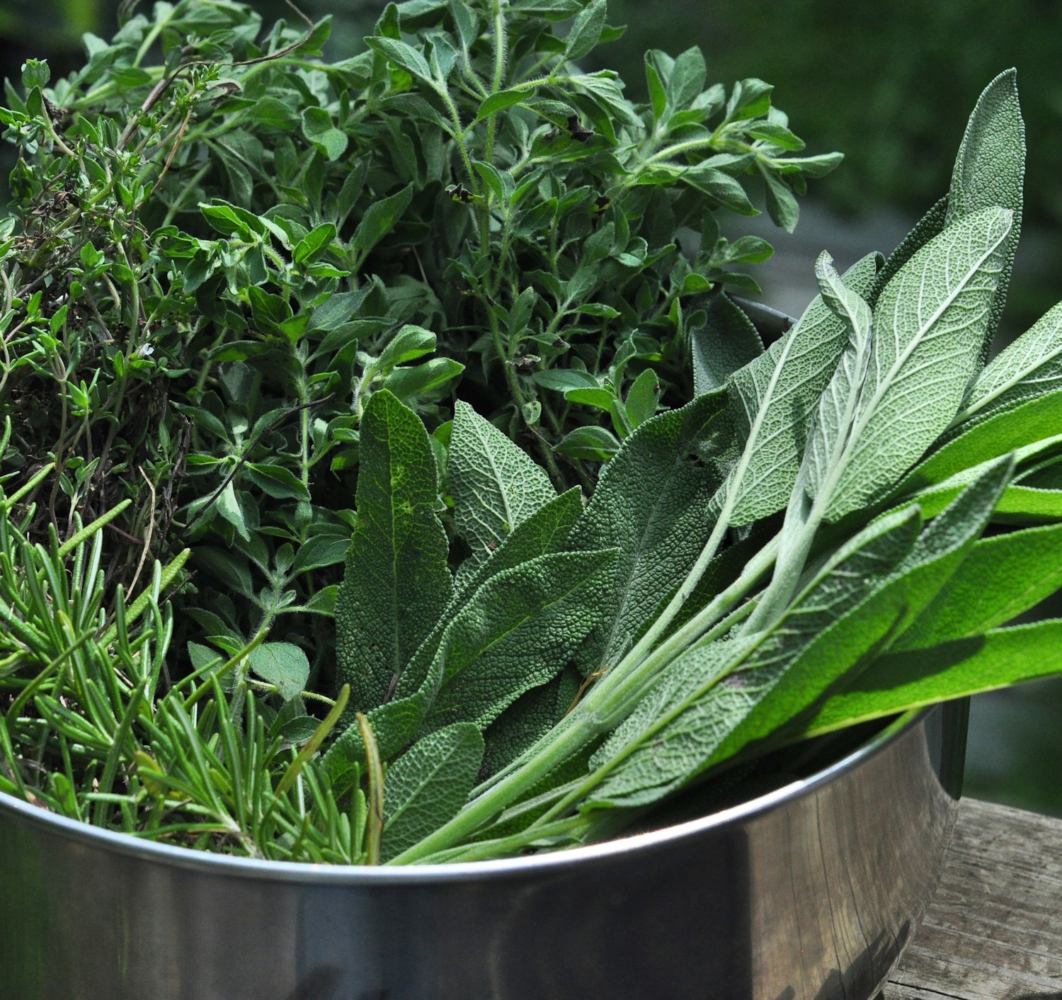 herbs from the creekside cook herb garden