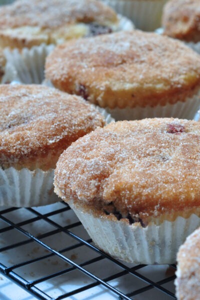 blueberry sugar doughnut muffins