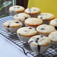 recipe for blueberry sugar doughnut muffins on the creekside cook