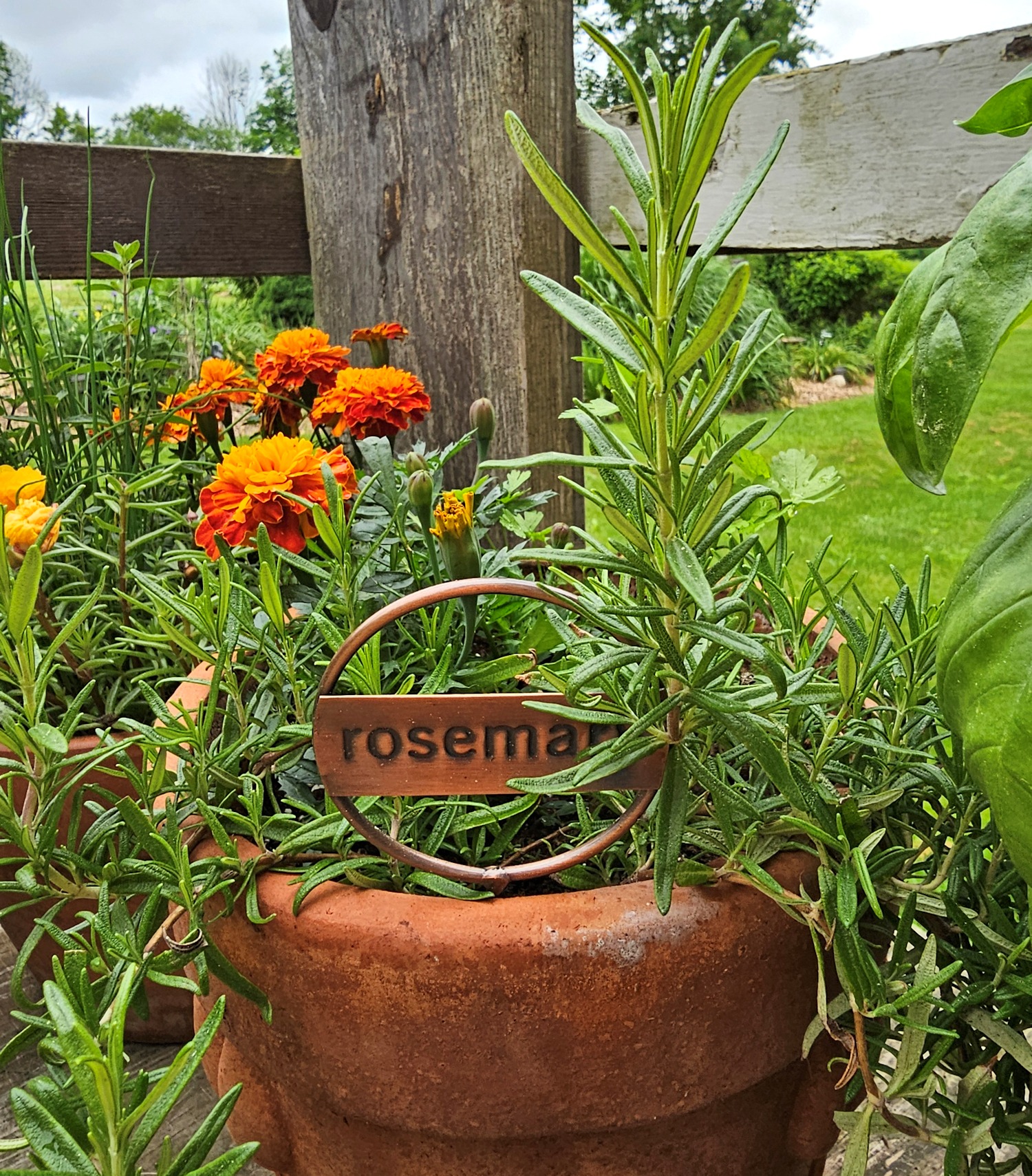 pot of herbs on the front porch