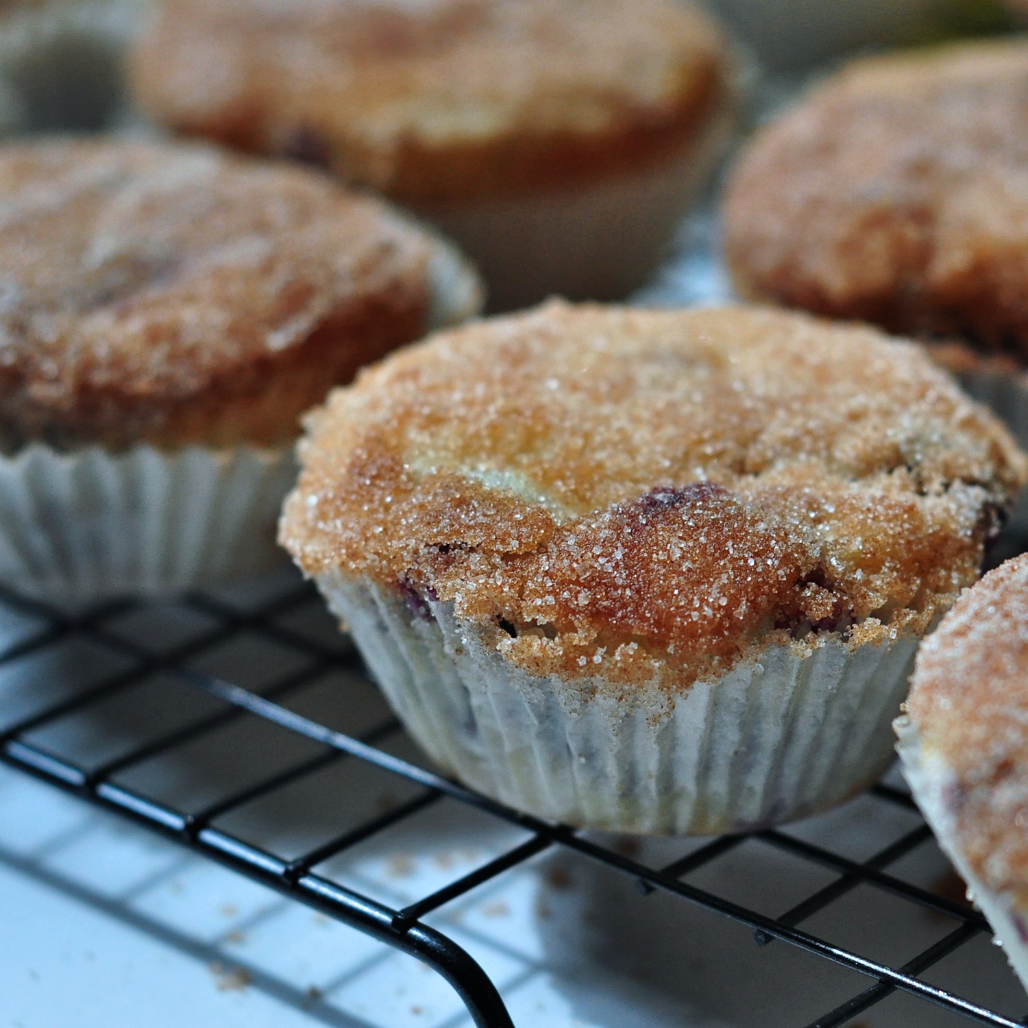 blueberry sugar doughnut muffin