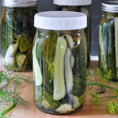 recipe for Refrigerator Garlic Dill Pickles on The Creekside Cook