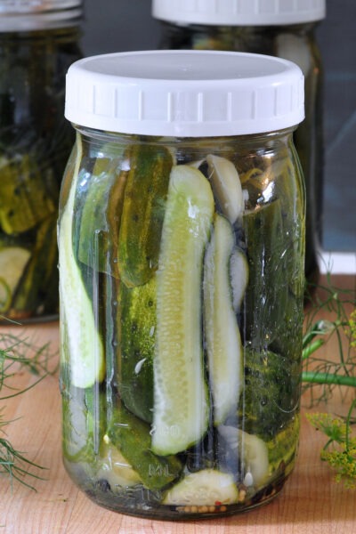 recipe for Refrigerator Garlic Dill Pickles on The Creekside Cook