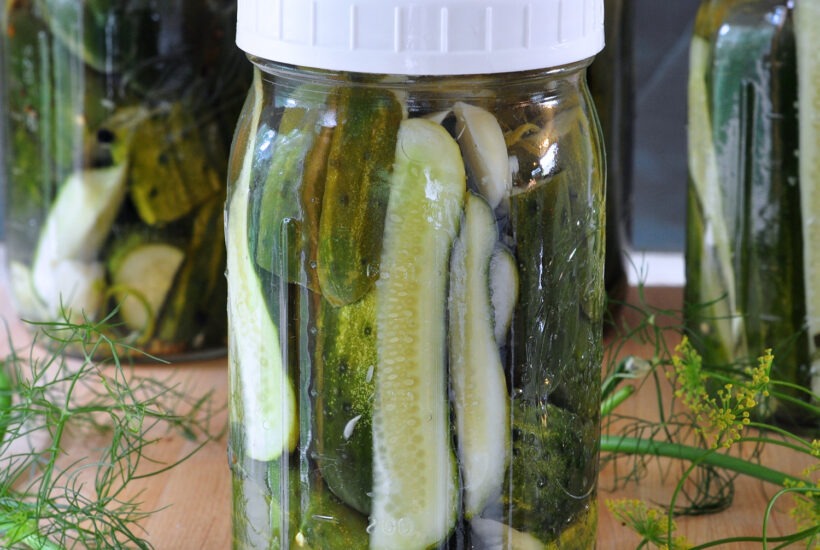 recipe for Refrigerator Garlic Dill Pickles on The Creekside Cook