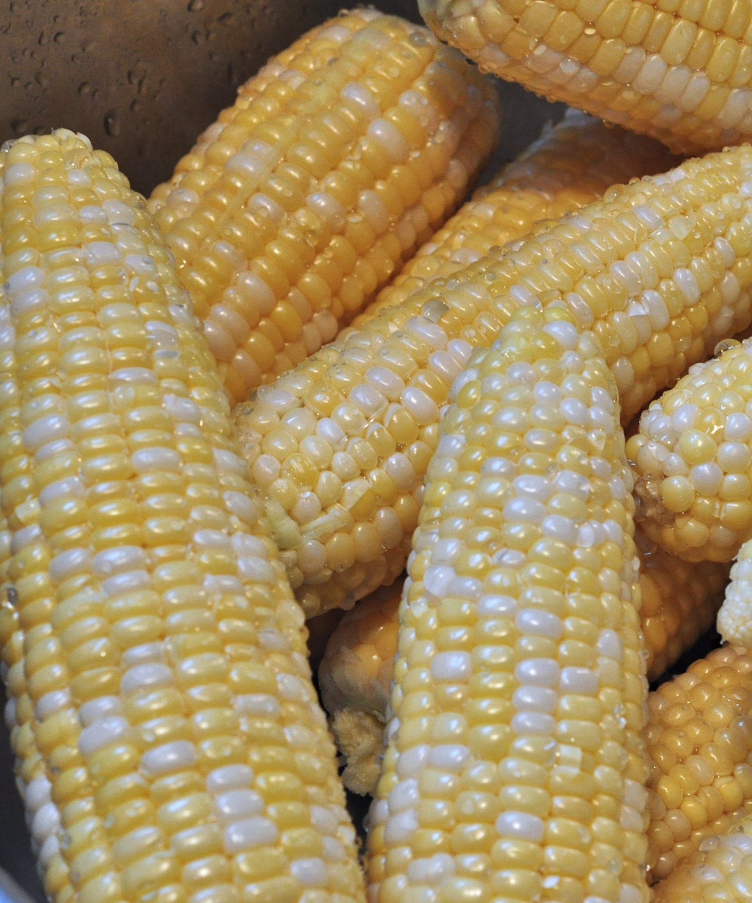 peeled ears of corn