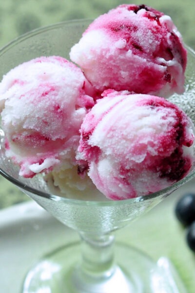 lemon blueberry Sherbet on The Creekside Cook