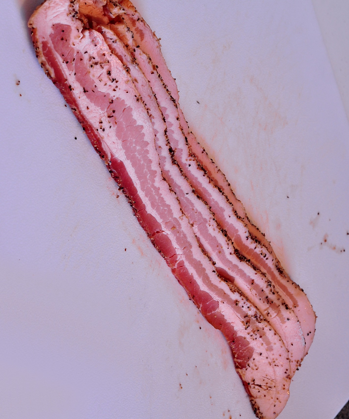 bacon