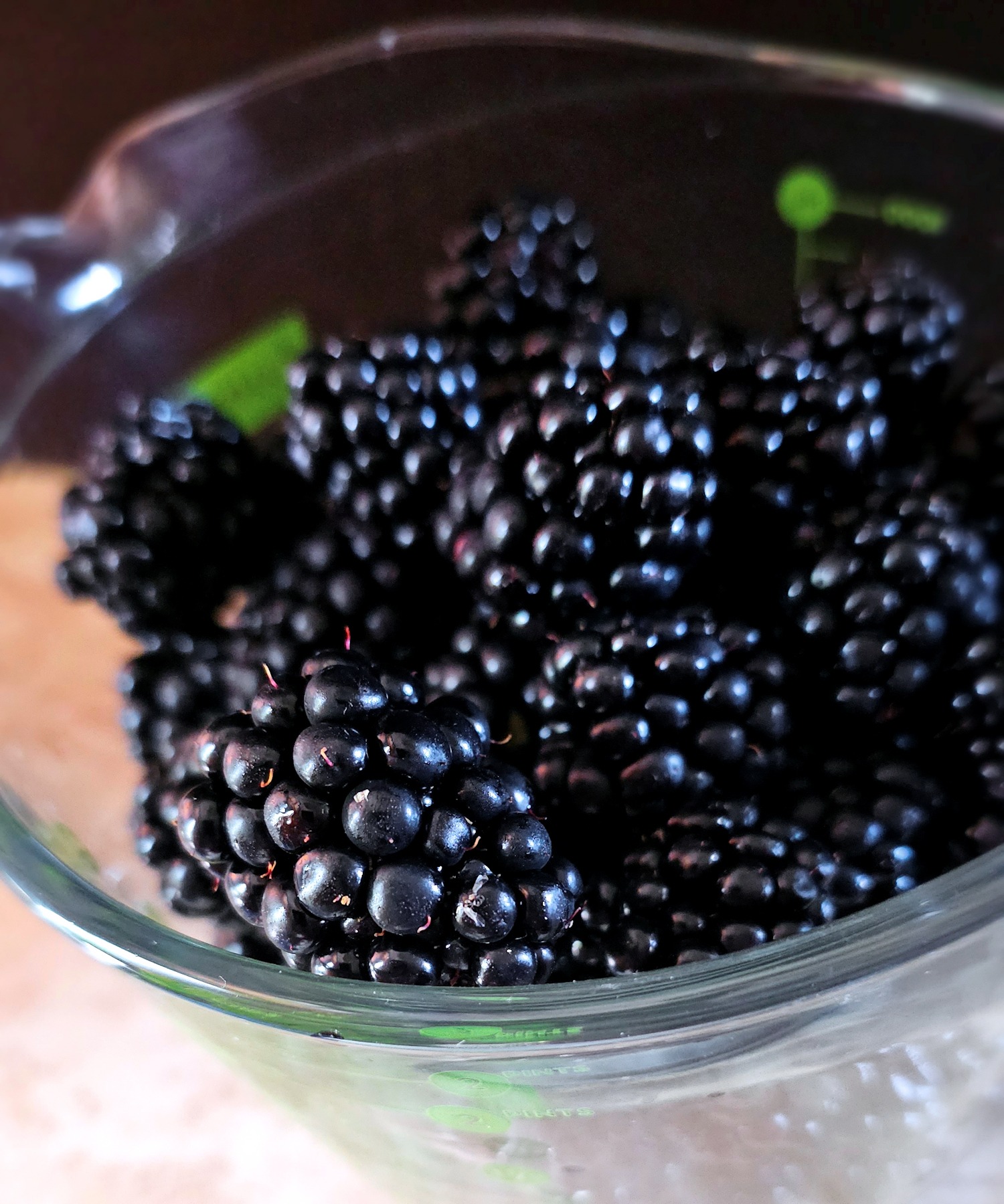 fresh blackberries