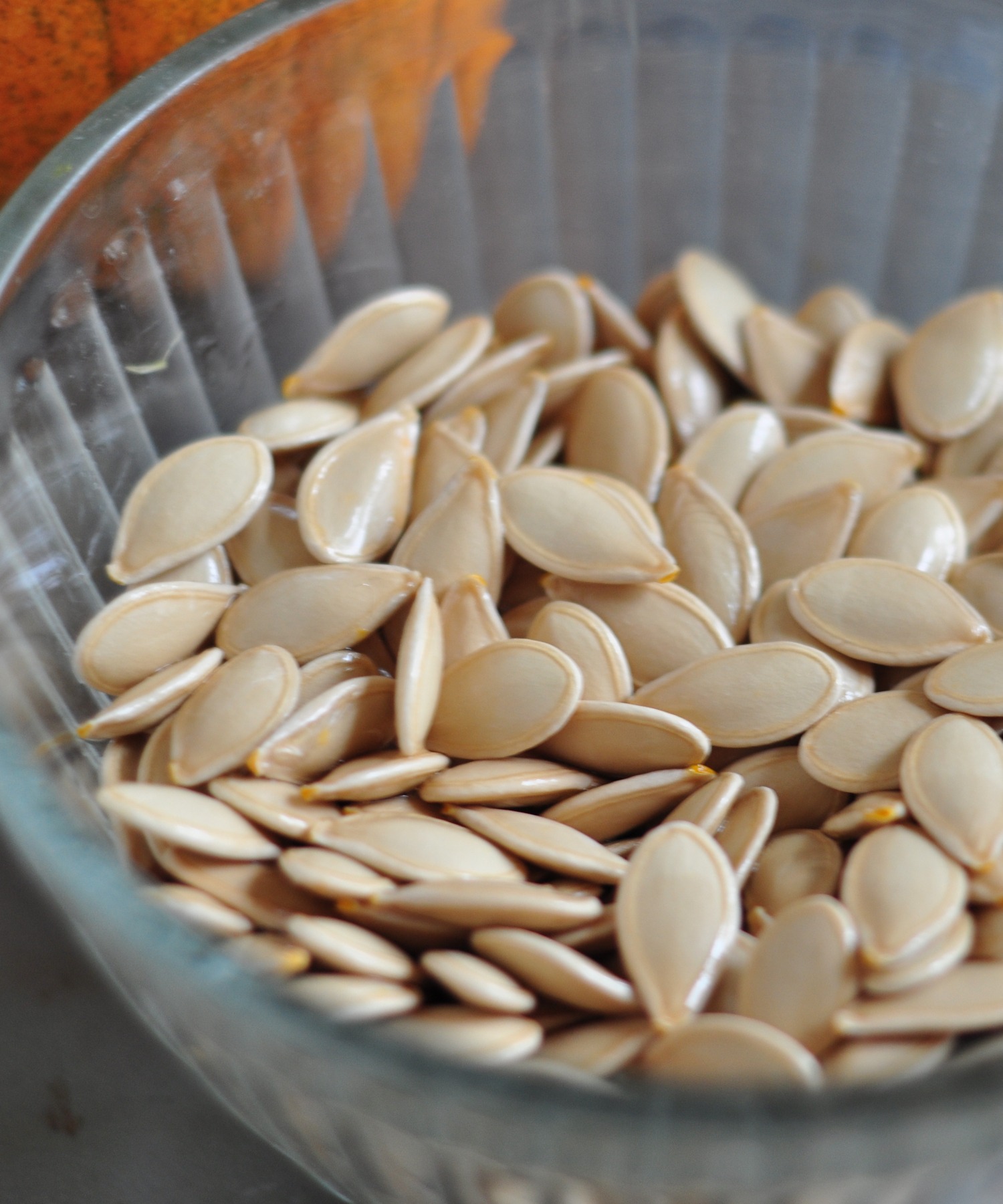 pumpkin seeds